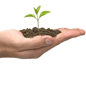 Fundraising Page: Social Emotional Learning